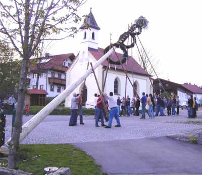 Maibaum aufstellen